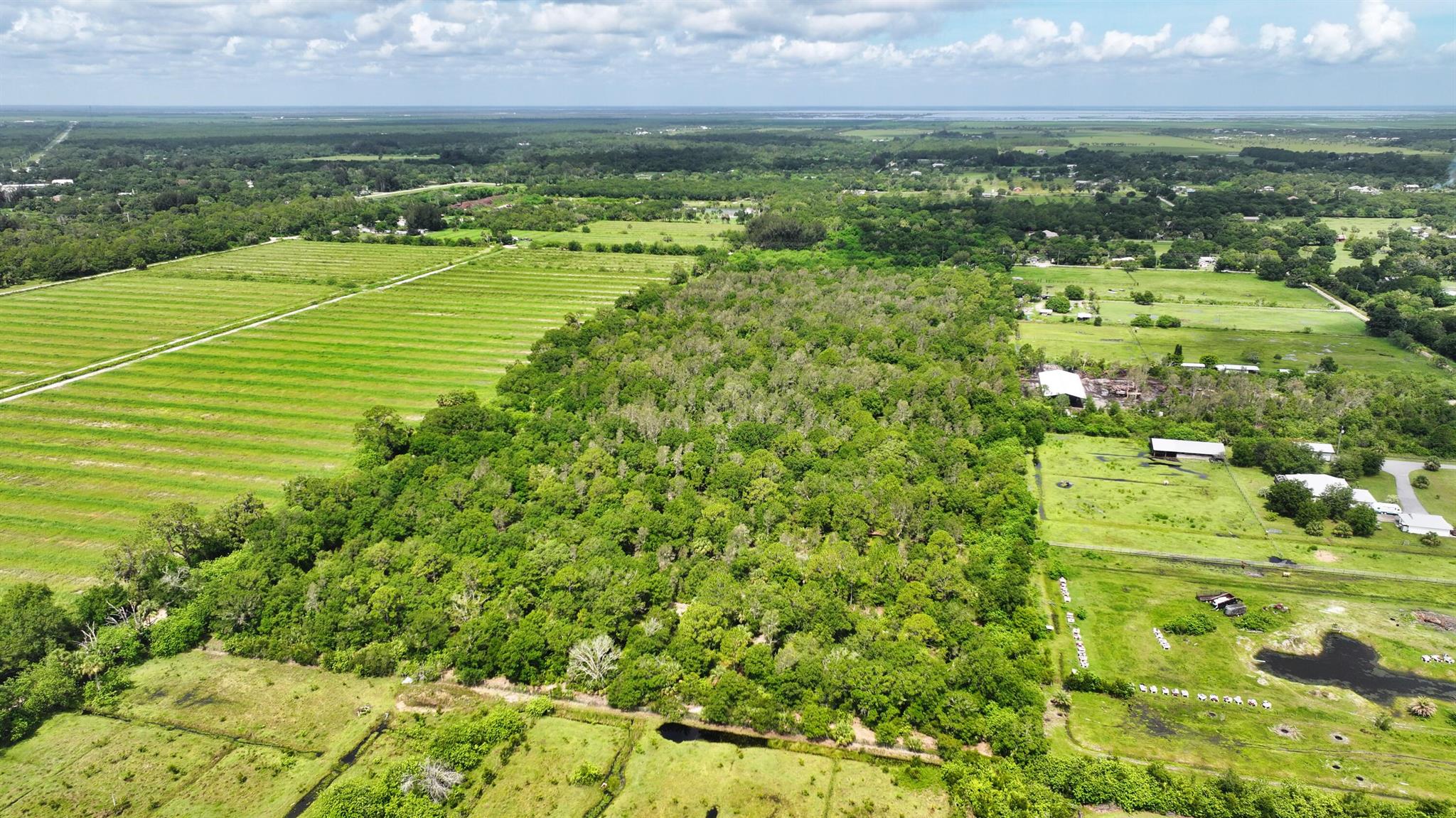 FELLSMERE FARMS CO S/D OF - Land