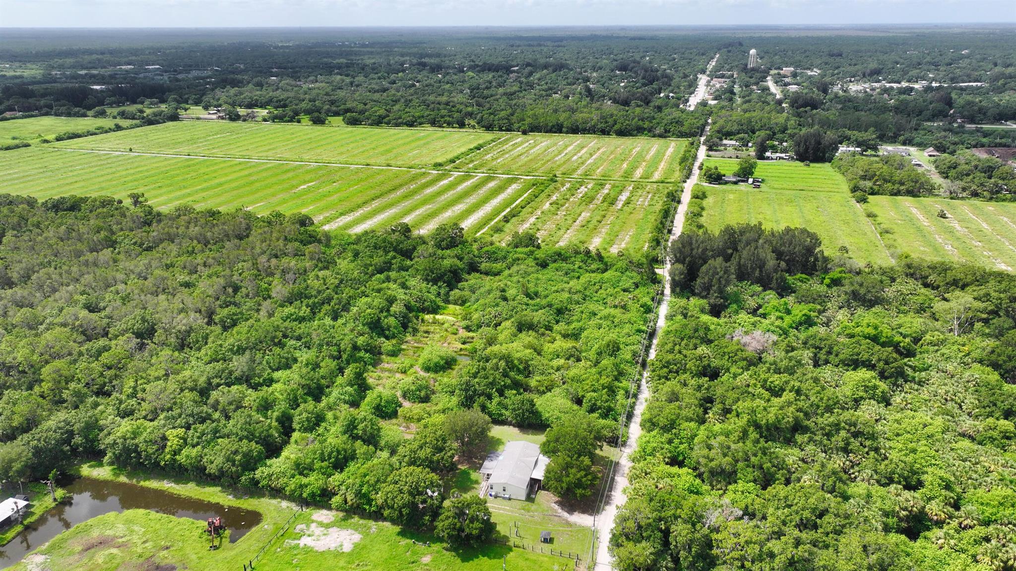 FELLSMERE FARMS CO S/D OF - Land