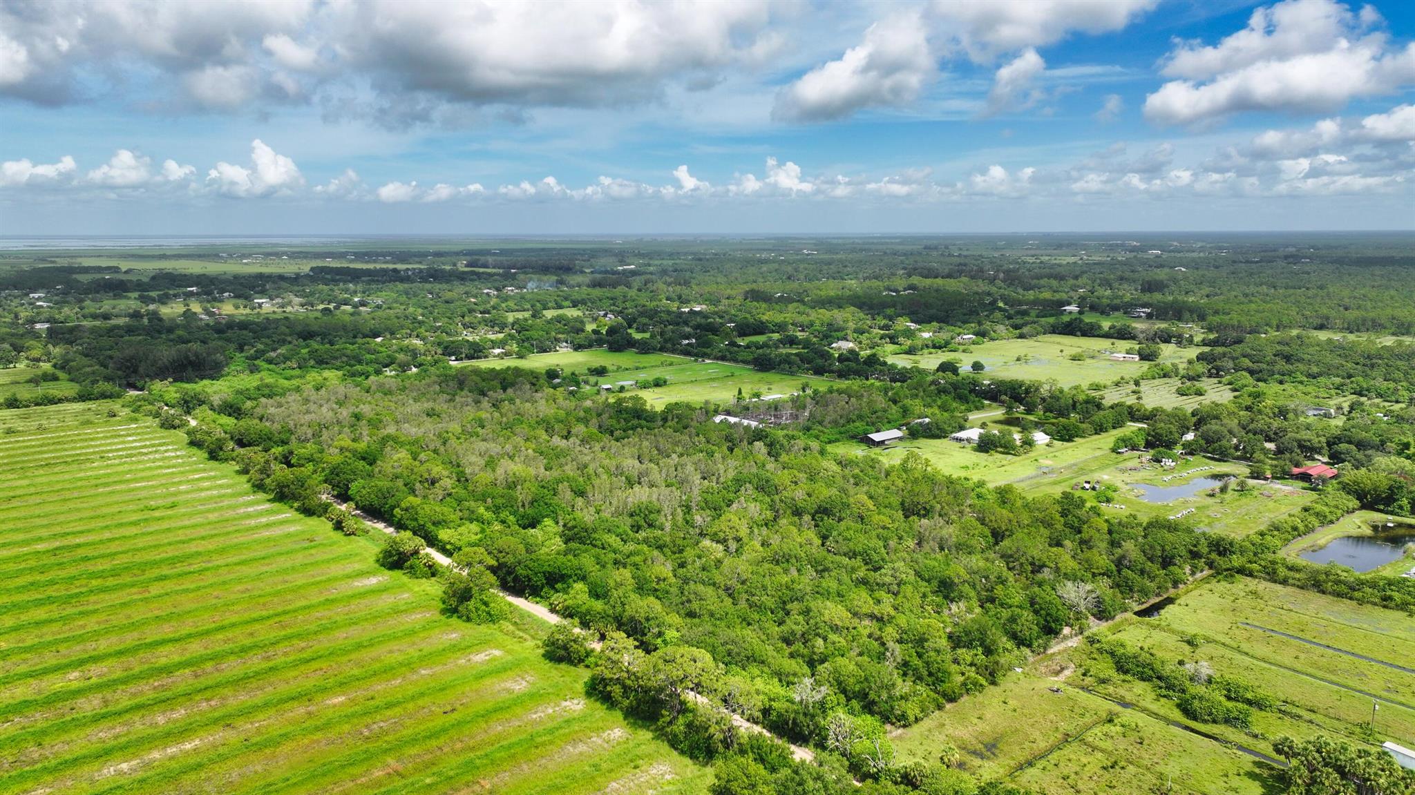 FELLSMERE FARMS CO S/D OF - Land