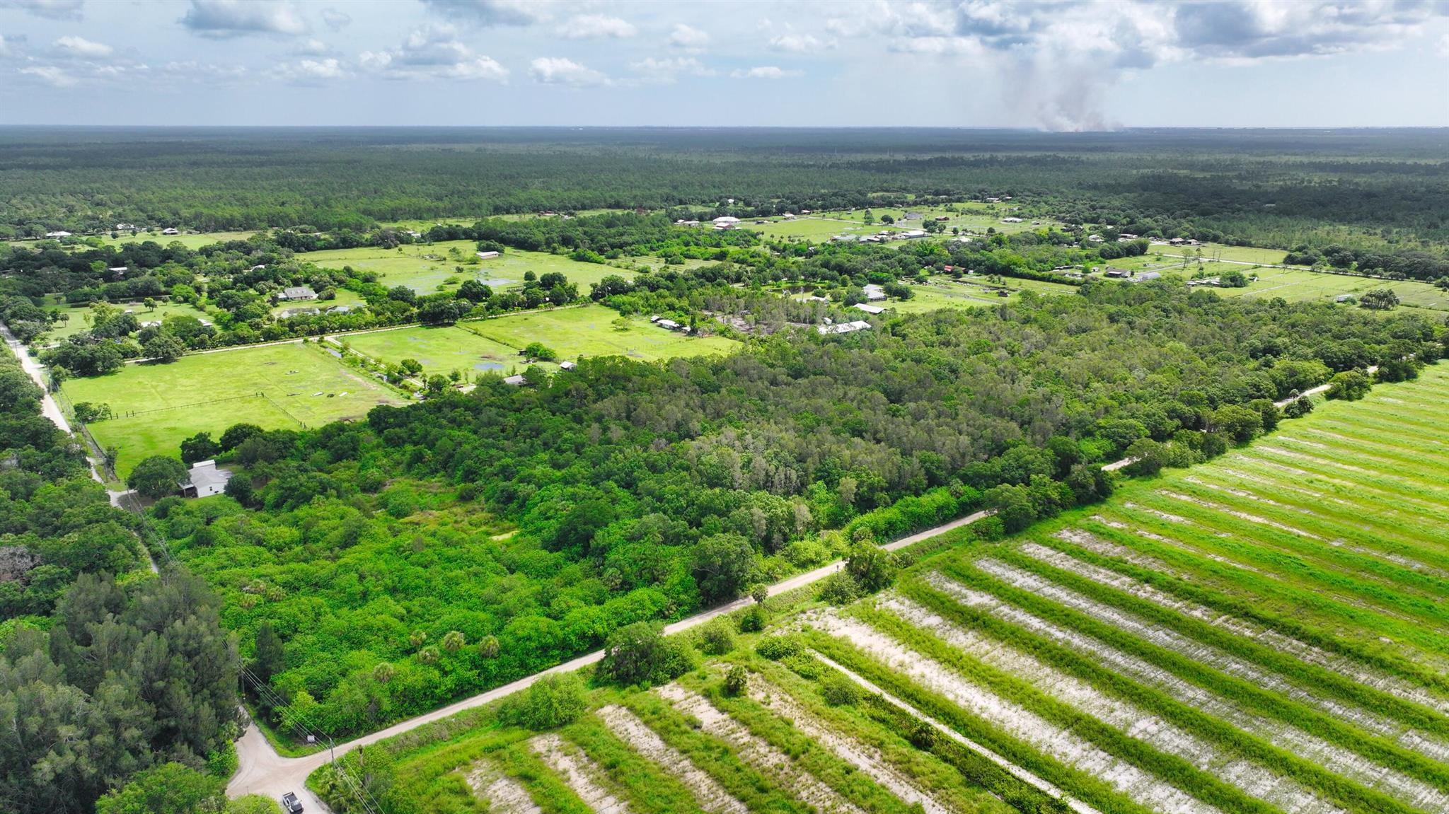 FELLSMERE FARMS CO S/D OF - Land