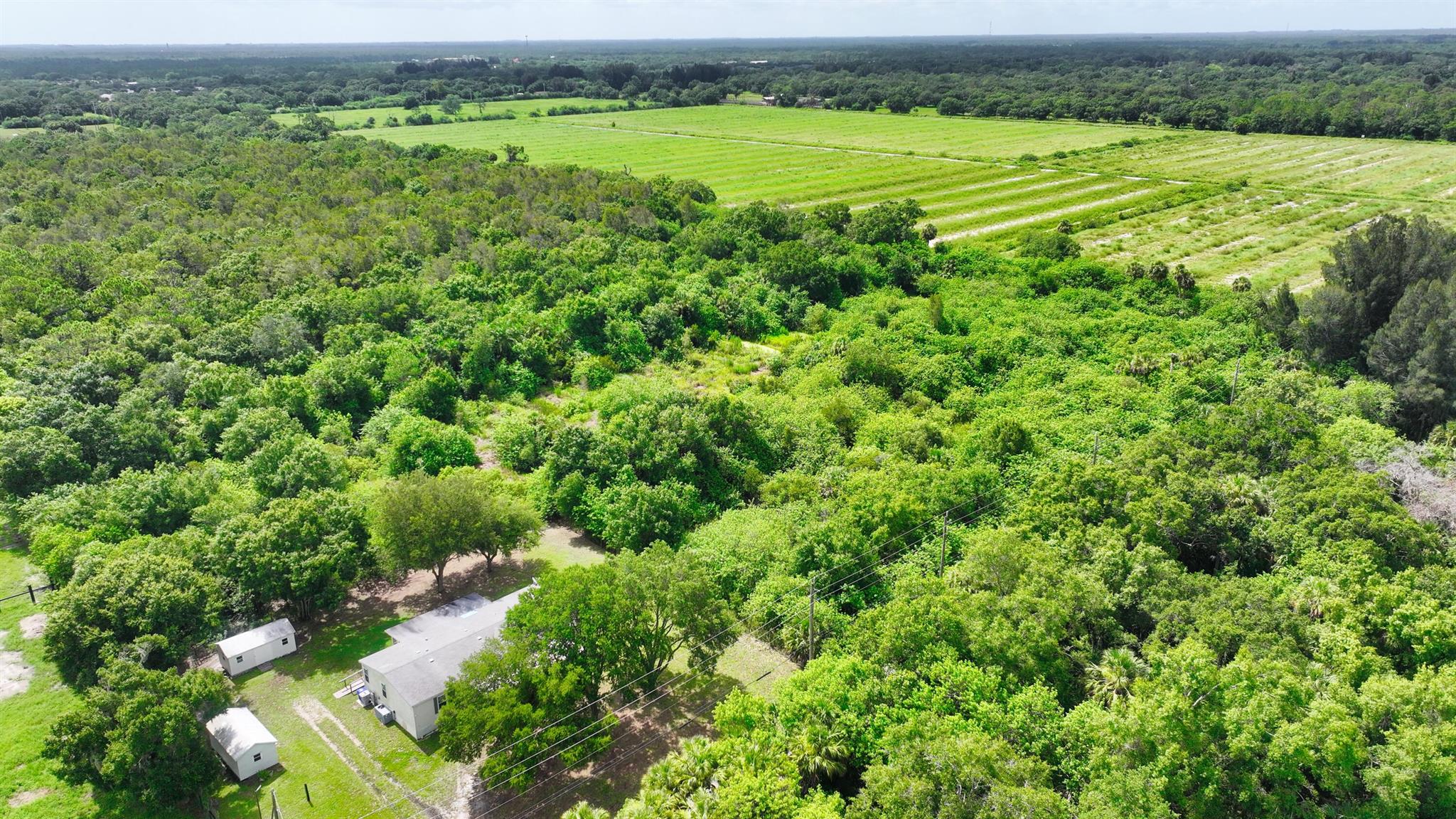 FELLSMERE FARMS CO S/D OF - Land