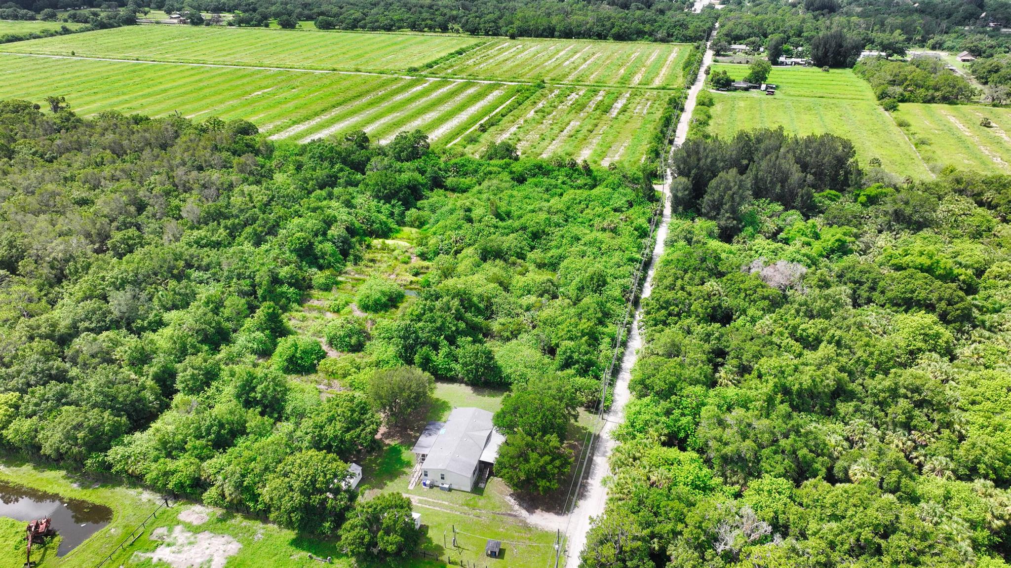 FELLSMERE FARMS CO S/D OF - Land