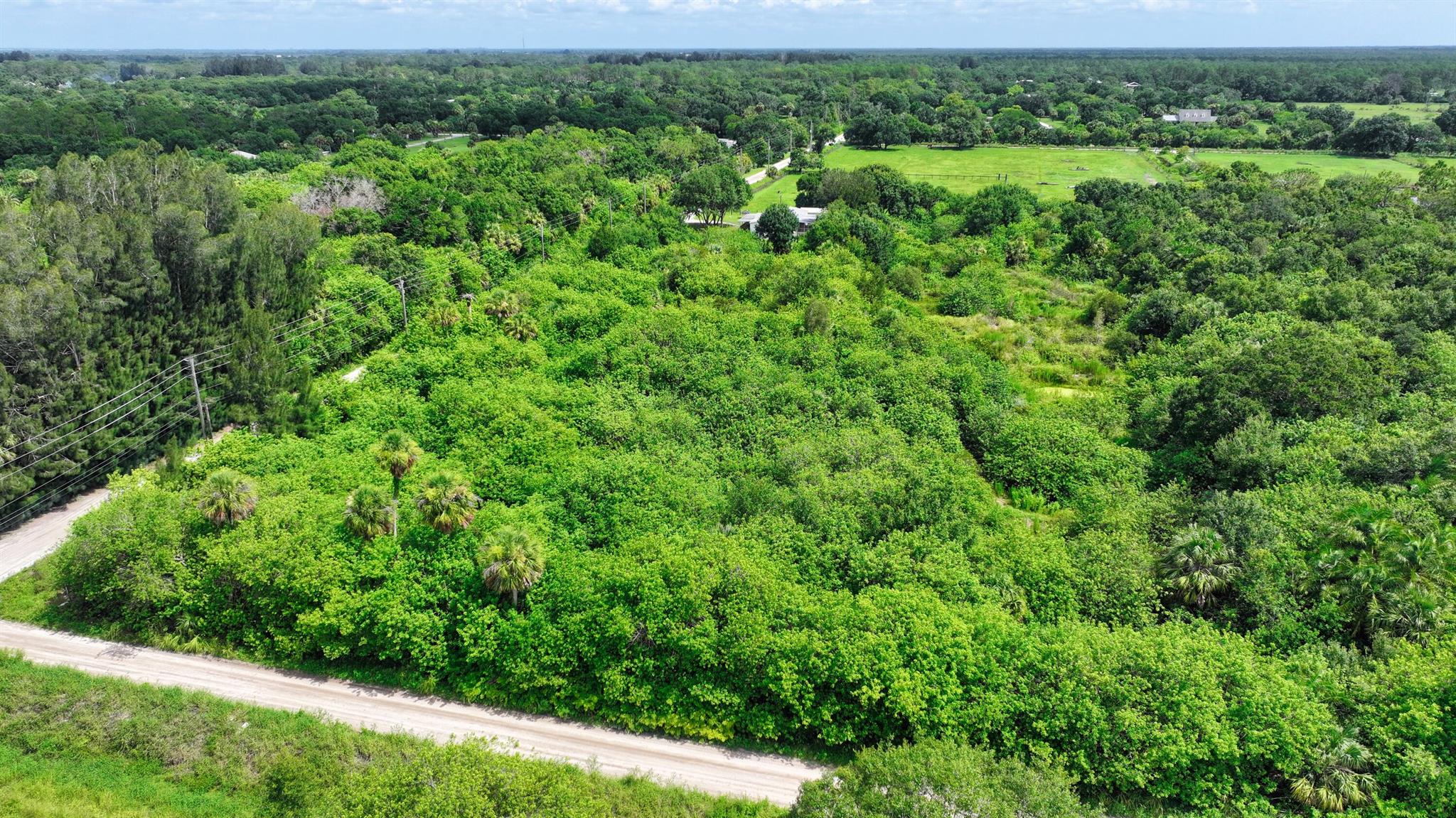 FELLSMERE FARMS CO S/D OF - Land