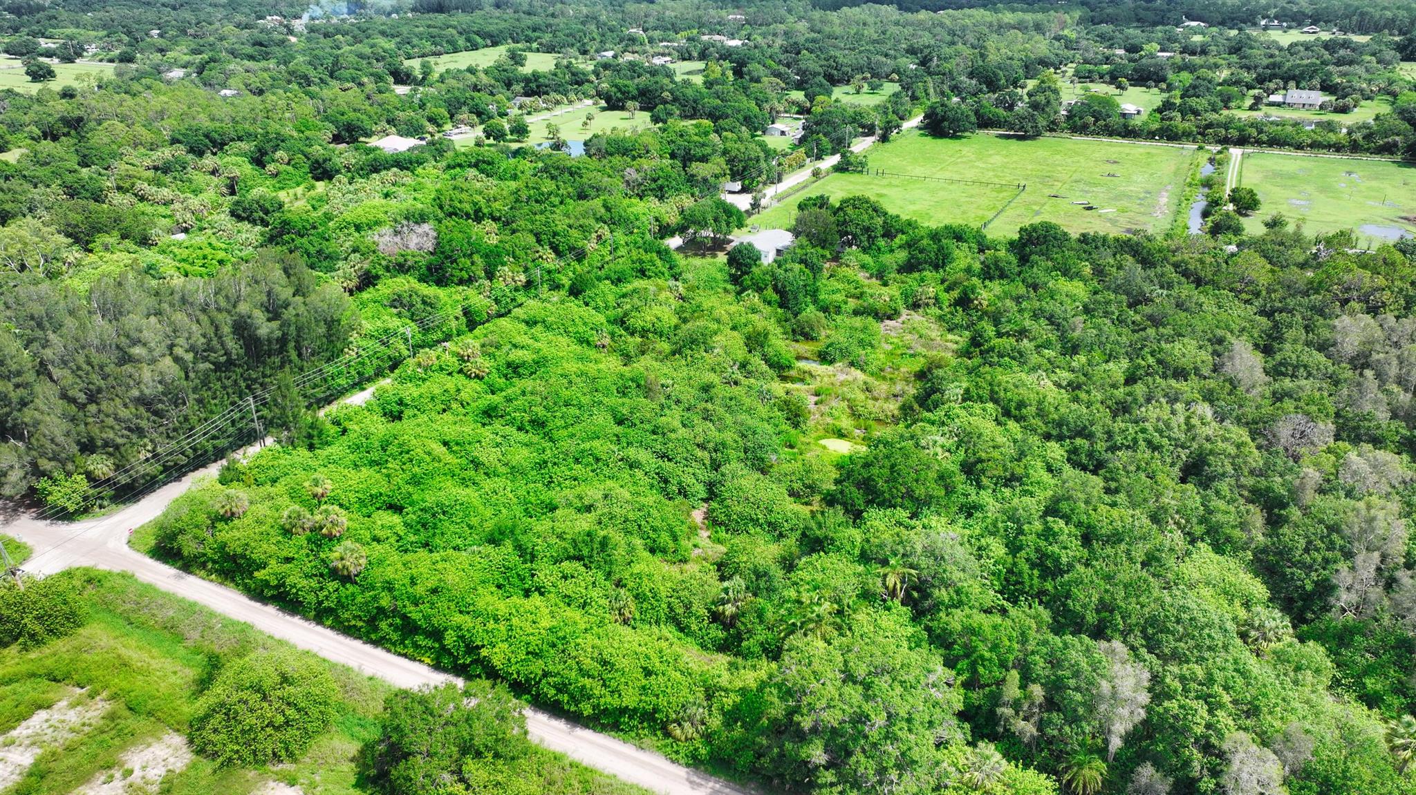 FELLSMERE FARMS CO S/D OF - Land