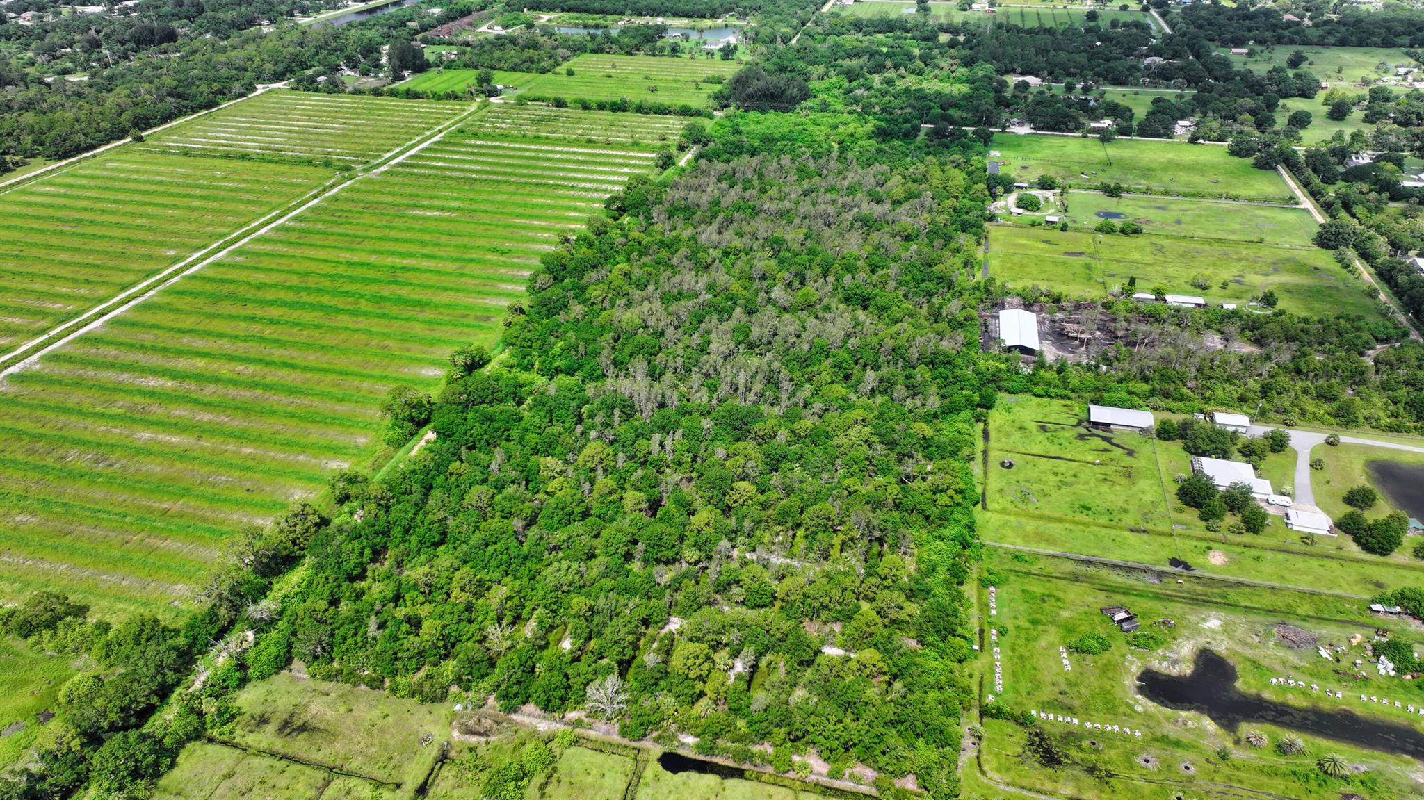 FELLSMERE FARMS CO S/D OF - Land