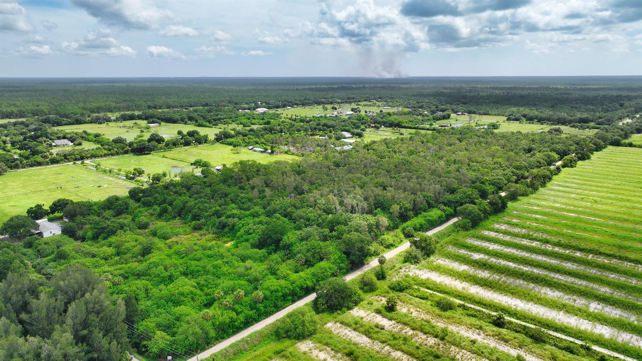FELLSMERE FARMS CO S/D OF - Land
