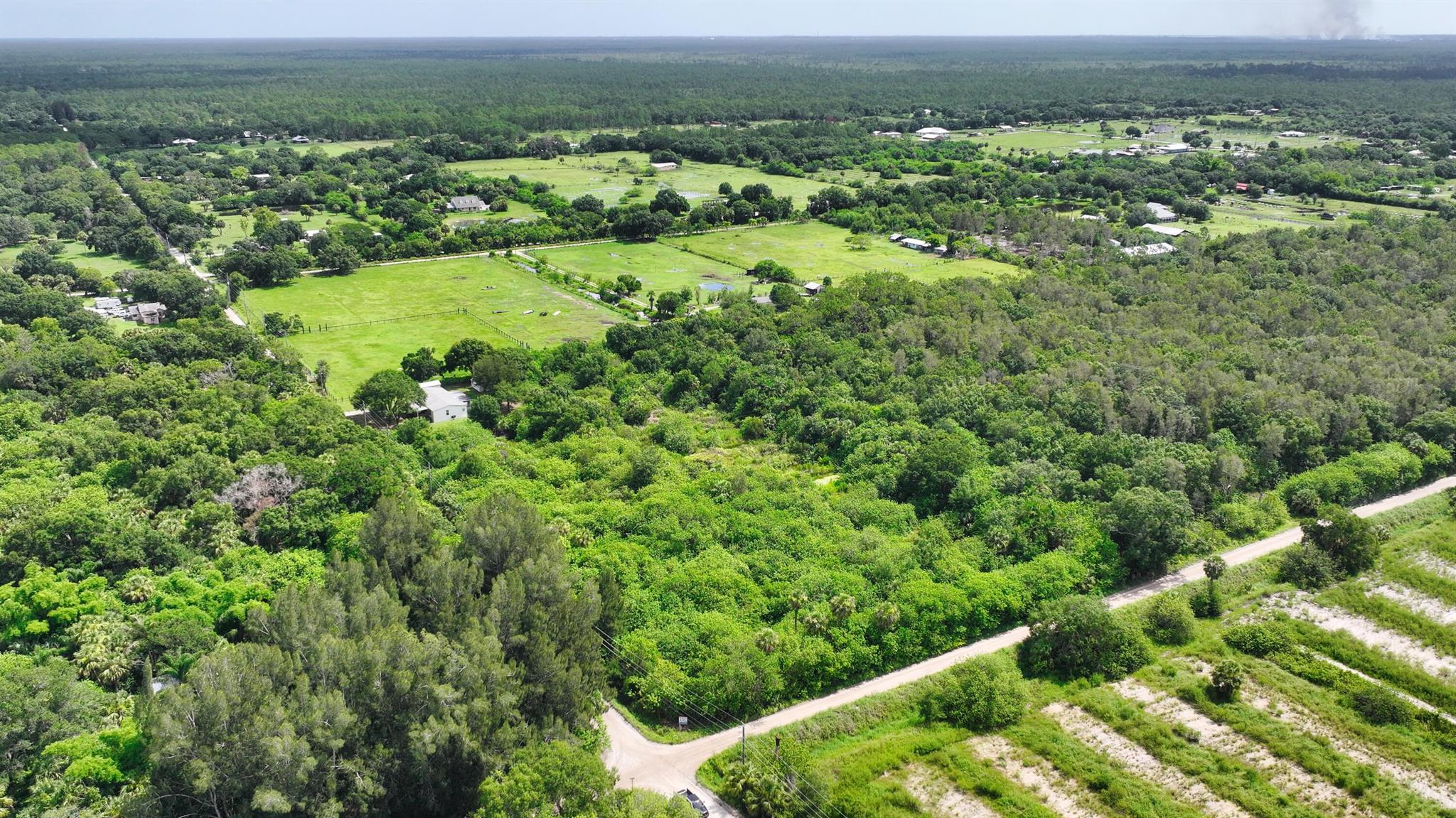 FELLSMERE FARMS CO S/D OF - Land