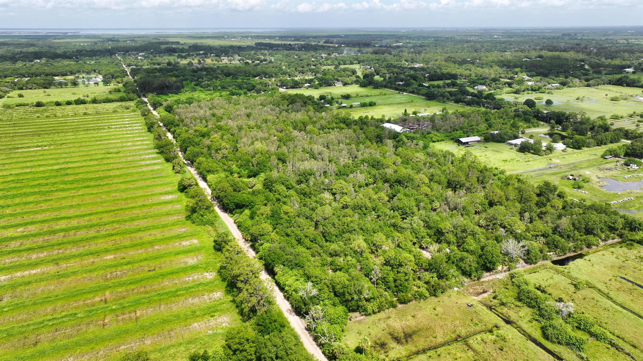 FELLSMERE FARMS CO S/D OF - Land