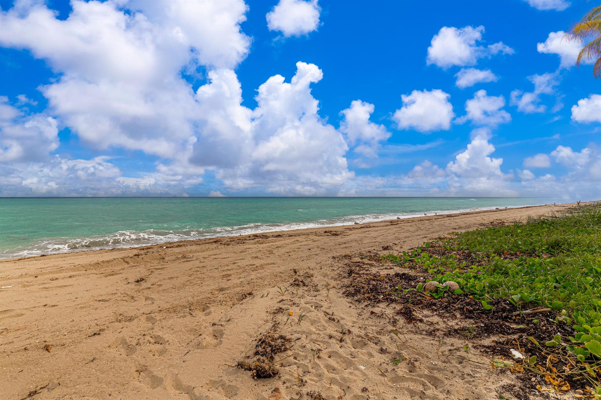 LA BONNE VIE CONDO - Residential