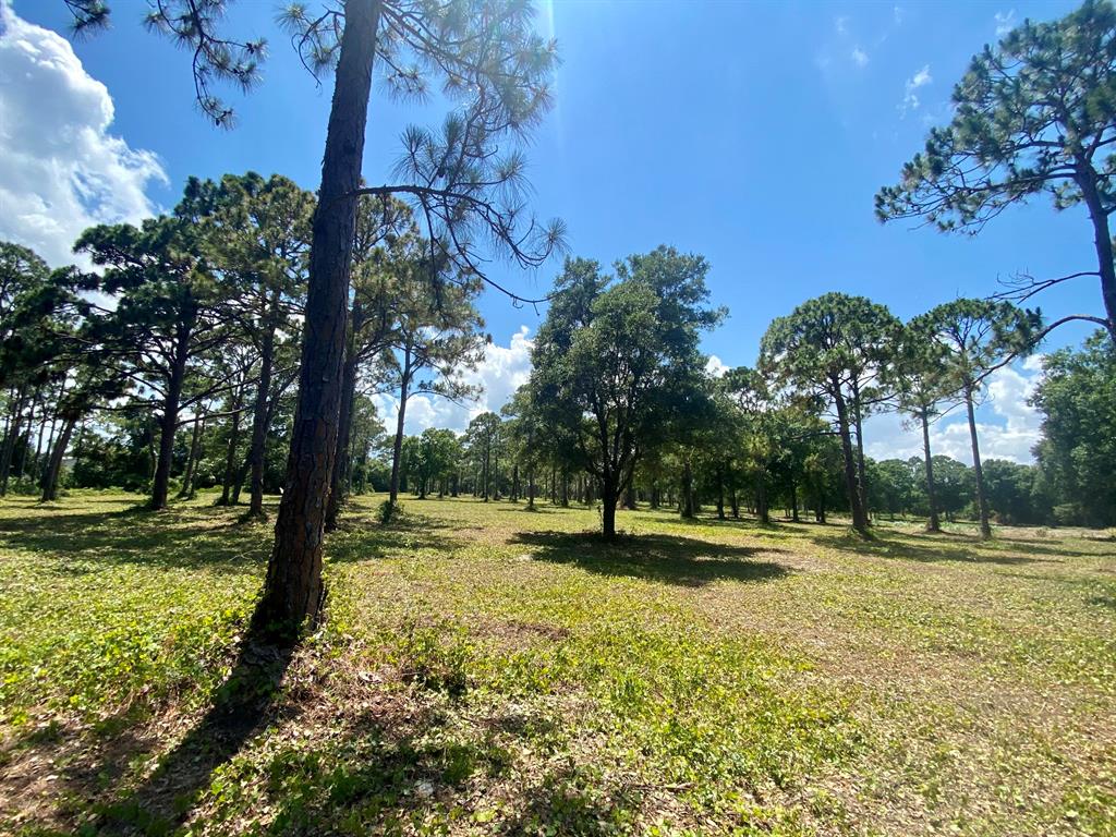 Beautifully wooded 3.9 acre homesite in White City. (278 x 611). Mature Oaks and Pines. Build your dream home here. More than enough room for guest home, family compound, and large detached garage for your RV, boats, and other toys. Chooses from the west or east end of he 12.88 acres. Each parcel approximately 4 acres. West end parcel is close to city water. Why pay $80,000 for a 1/4 acre Port St. Lucie lot, when you can own almost 16 times as much land for less than 4 times the price! Long term additional value since the property is zoned 5 units per acre. See assessors map of property under documents tab.