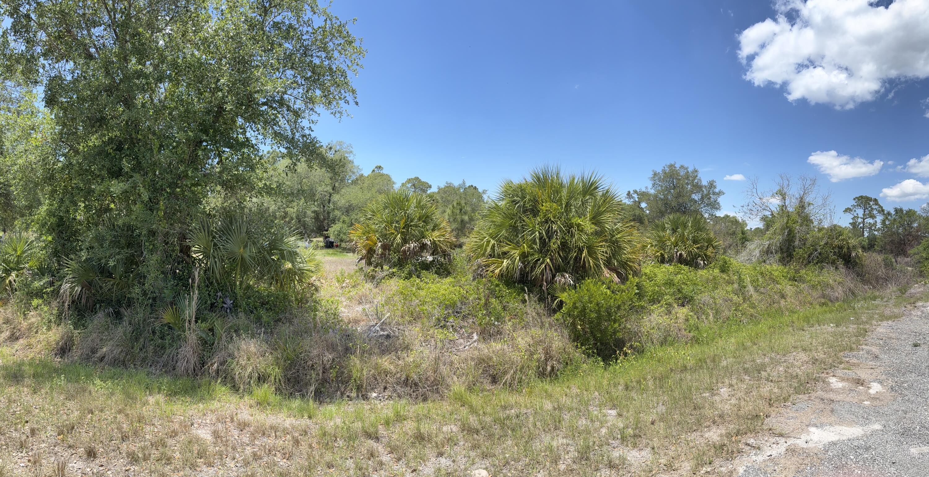 MONTURA RANCH UNREC SEC 25 - Land