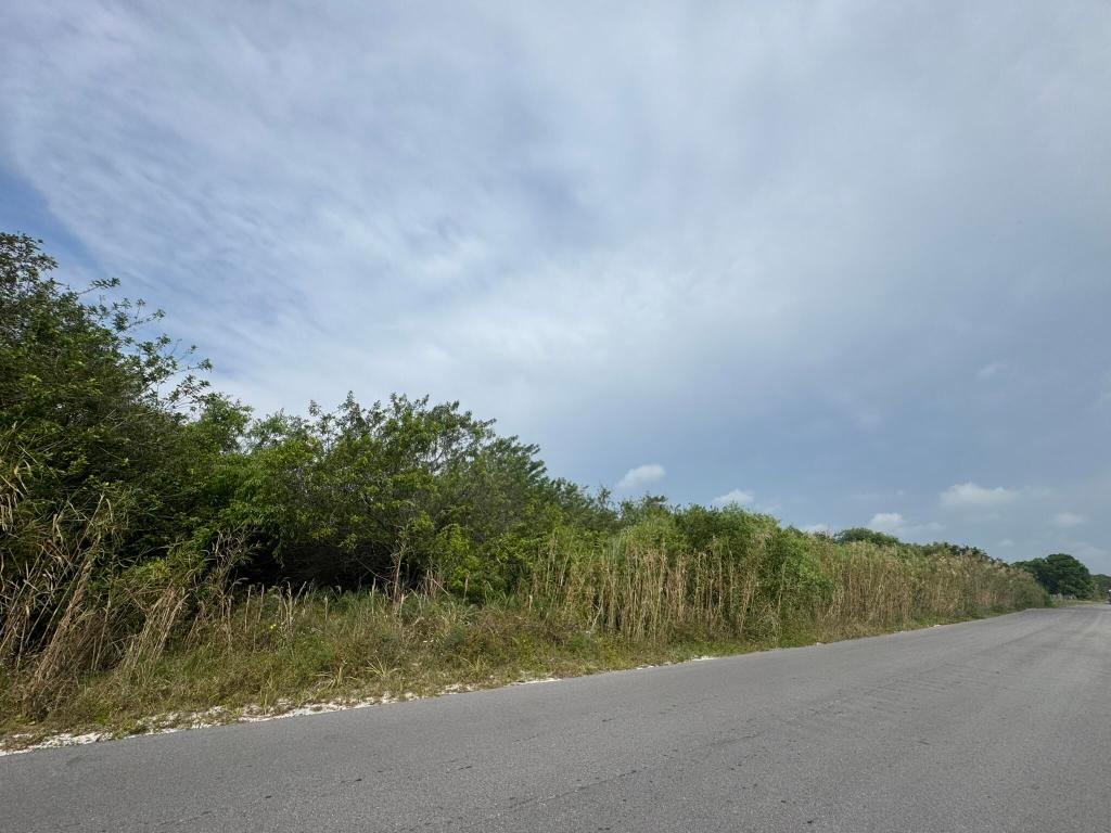 SPRINGHAVEN ESTATES - Land