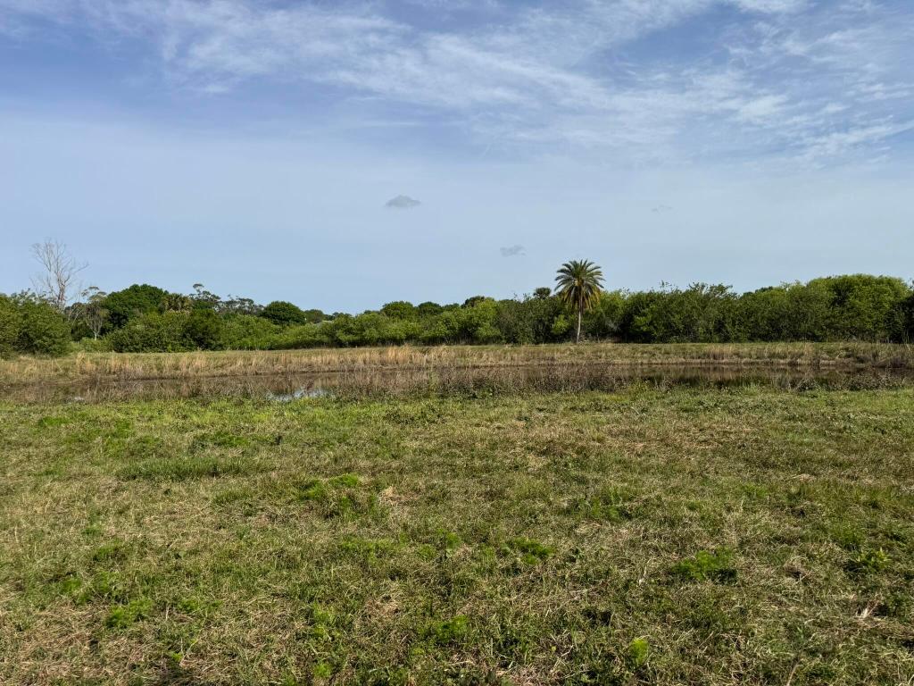 SPRINGHAVEN ESTATES - Land