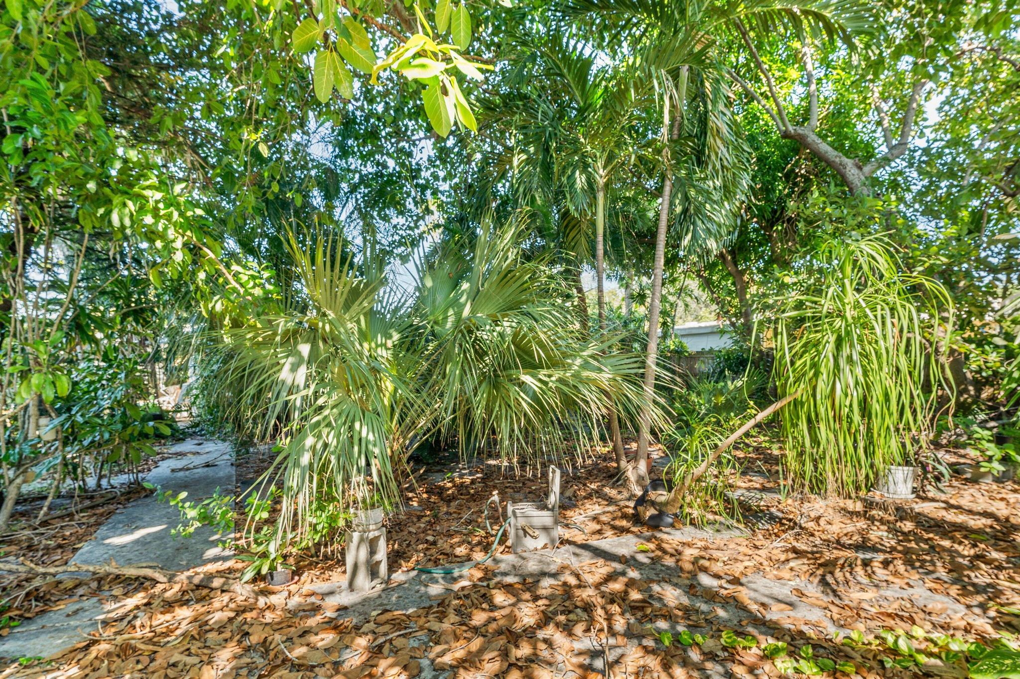 PROSPECT PARK SOUTH - Residential