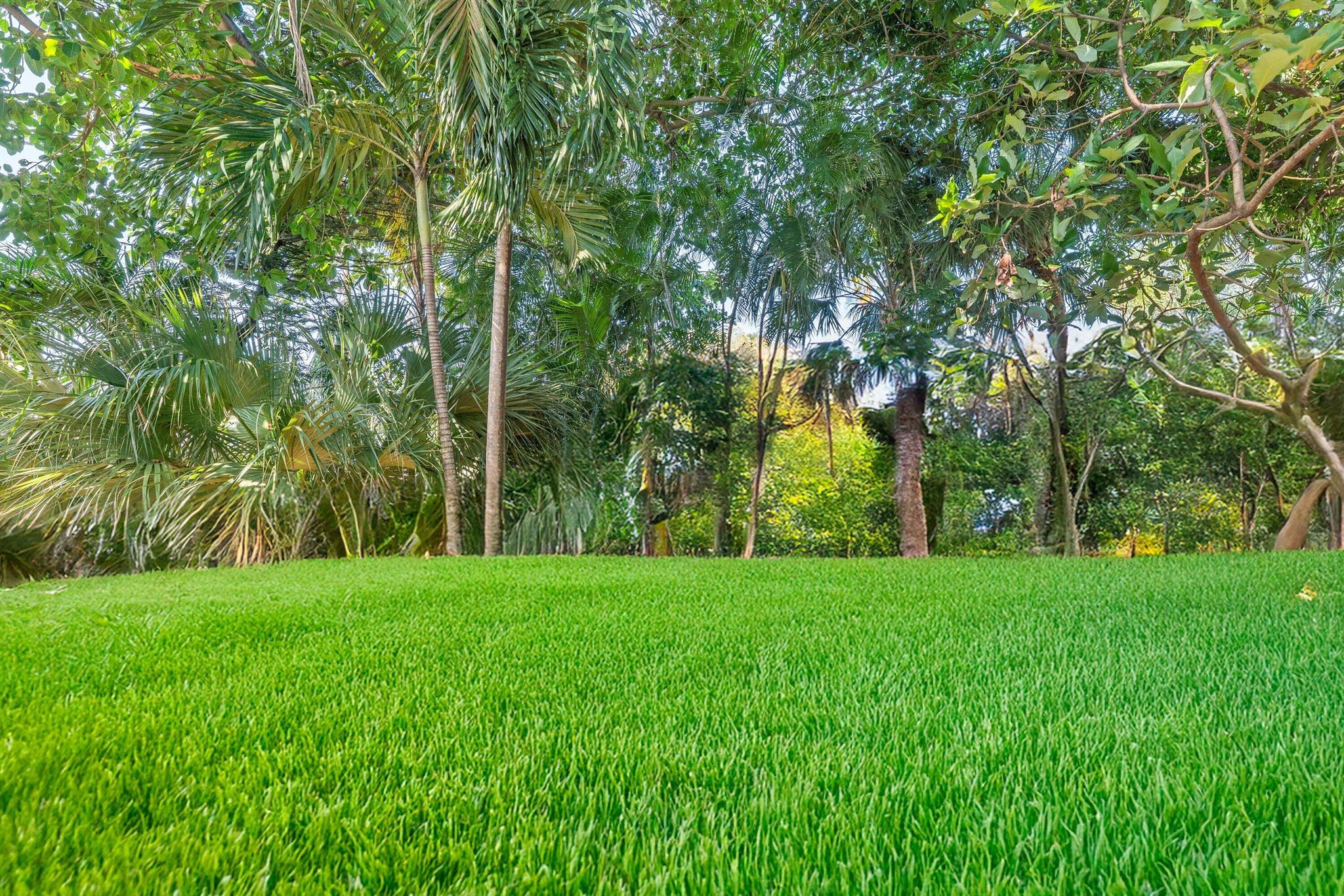 PROSPECT PARK SOUTH - Residential