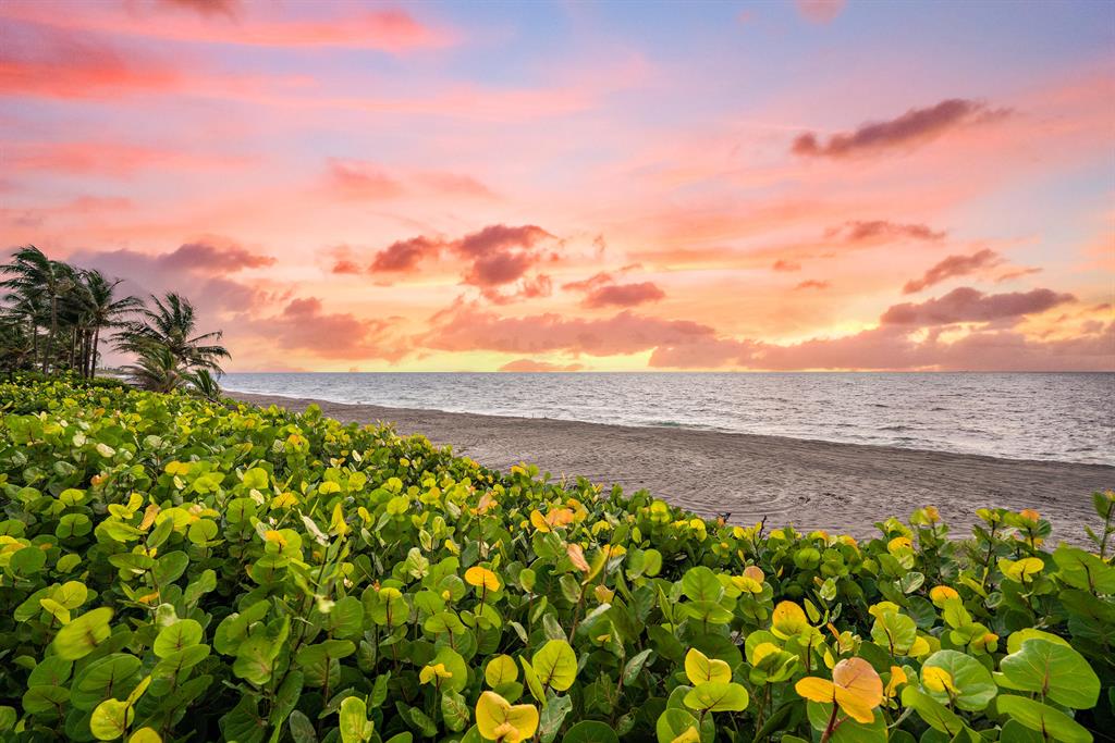 JUPITER INLET BEACH COLON - Land