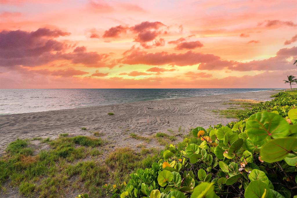 JUPITER INLET BEACH COLON - Land