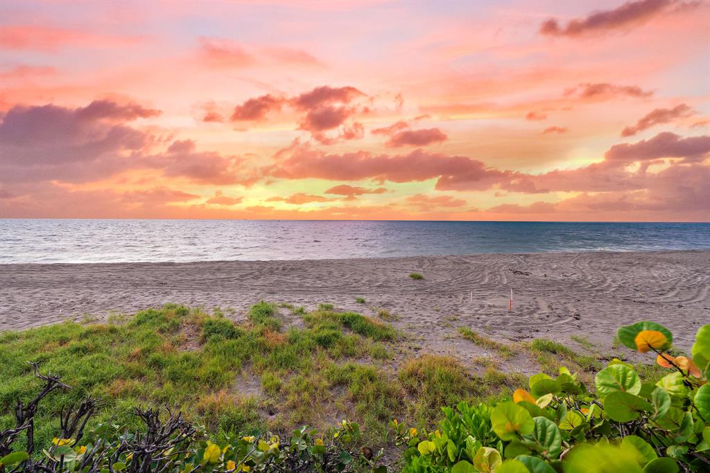 JUPITER INLET BEACH COLON - Land