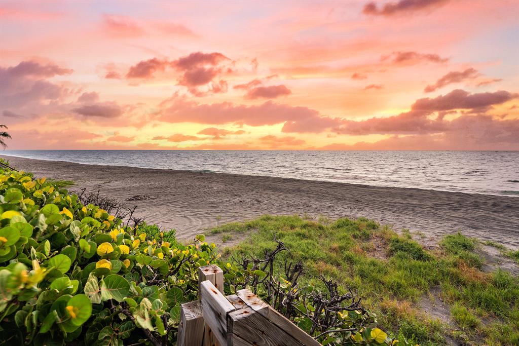 JUPITER INLET BEACH COLON - Land
