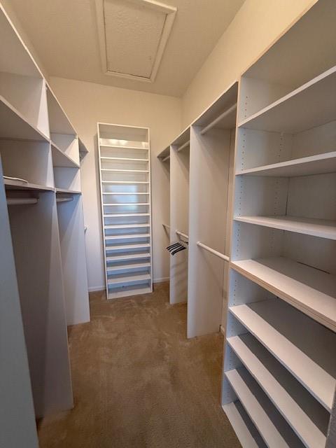 Polo Trace 02 01 - Residential Lease