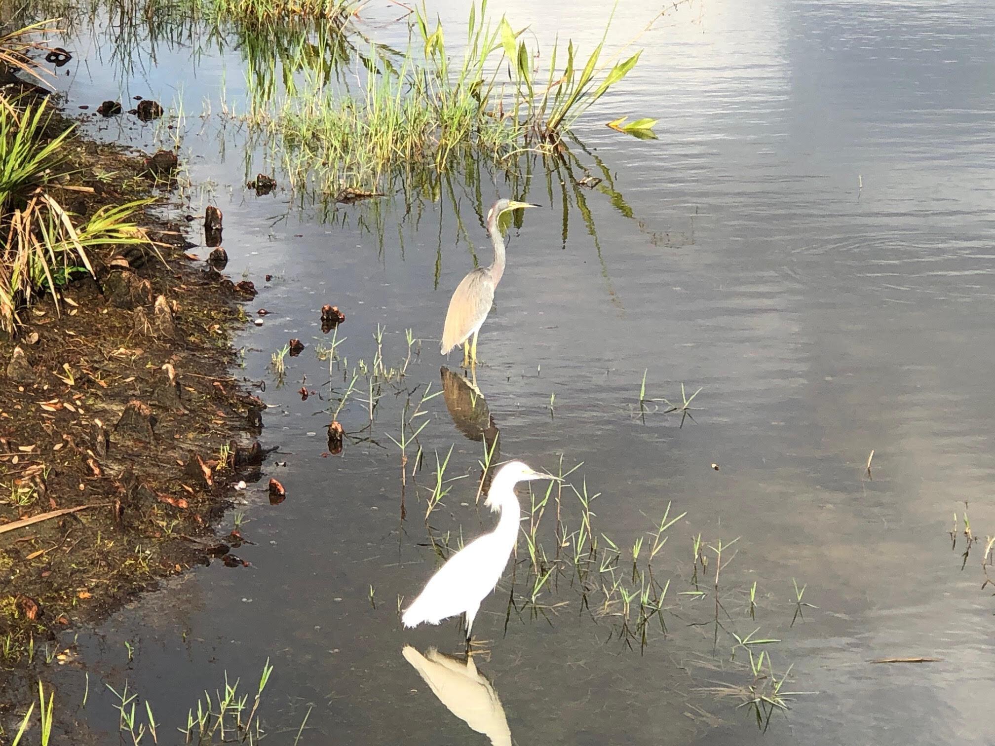 EAST LAKE VILLAGE NO 3 - Residential