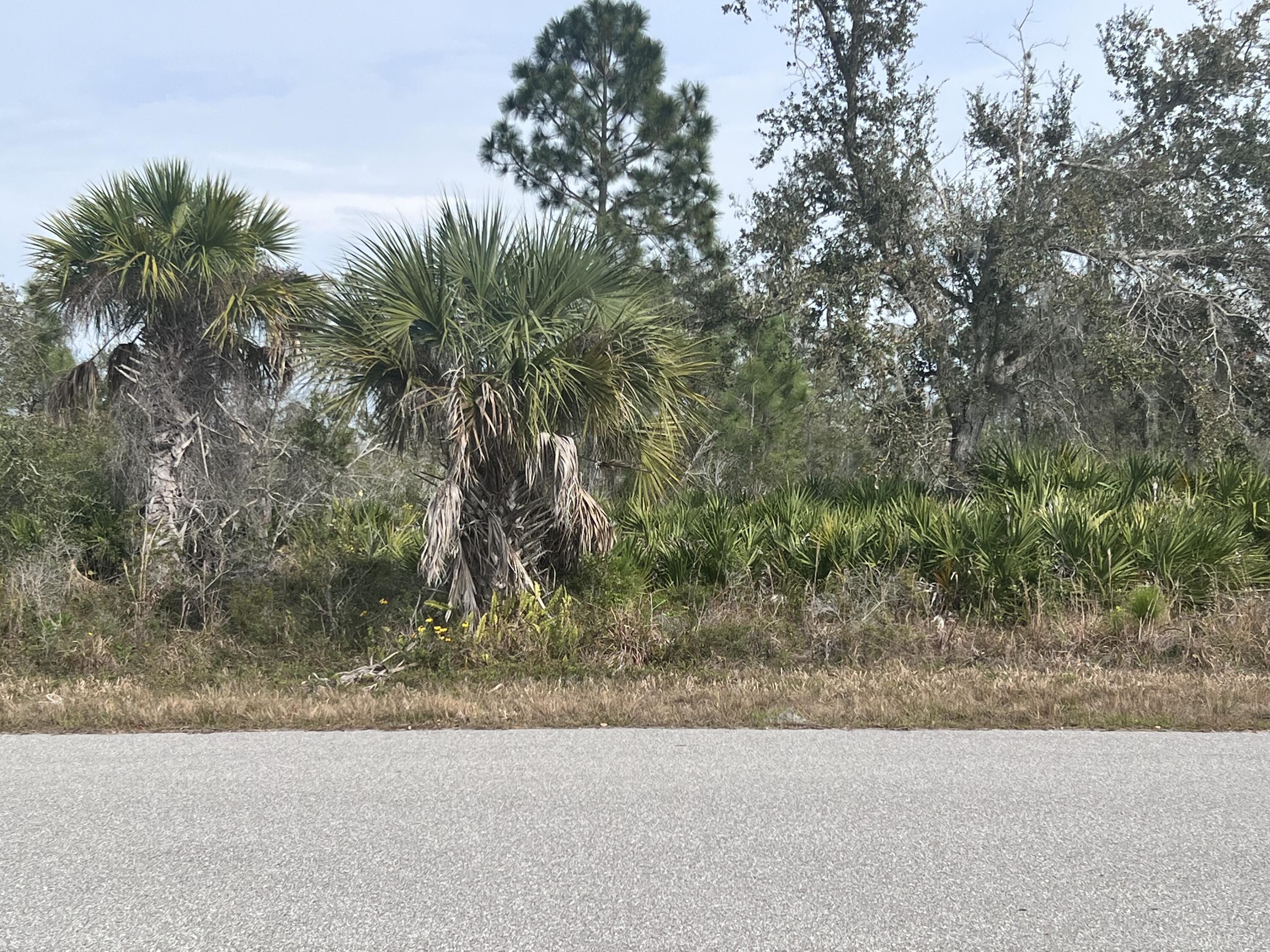 OWNER FINANCIAL AVAILABLE!! Port Charlotte is one of the growing cities in Florida, close to the beach, restaurants, markets, and much more. You can have your new construction home with all the benefits of living in paradise. Make this beautiful lot your future home!!