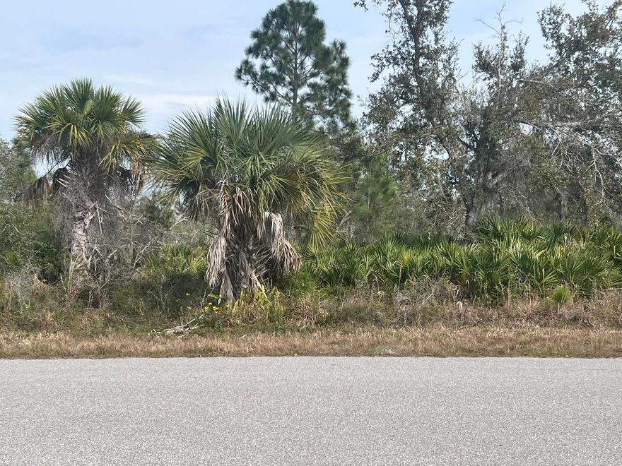 OWNER FINANCIAL AVAILABLE!! Port Charlotte is one of the growing cities in Florida, close to the beach, restaurants, markets, and much more. You can have your new construction home with all the benefits of living in paradise. Make this beautiful lot your future home!!