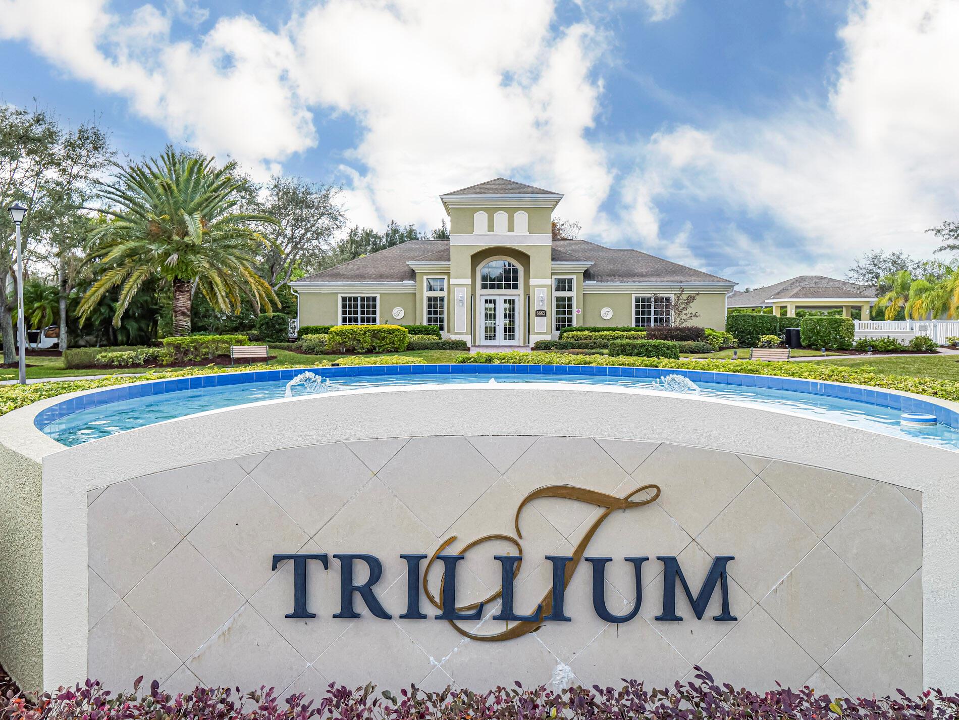 ANTHEM LAKES AT TRILLIUM - Residential