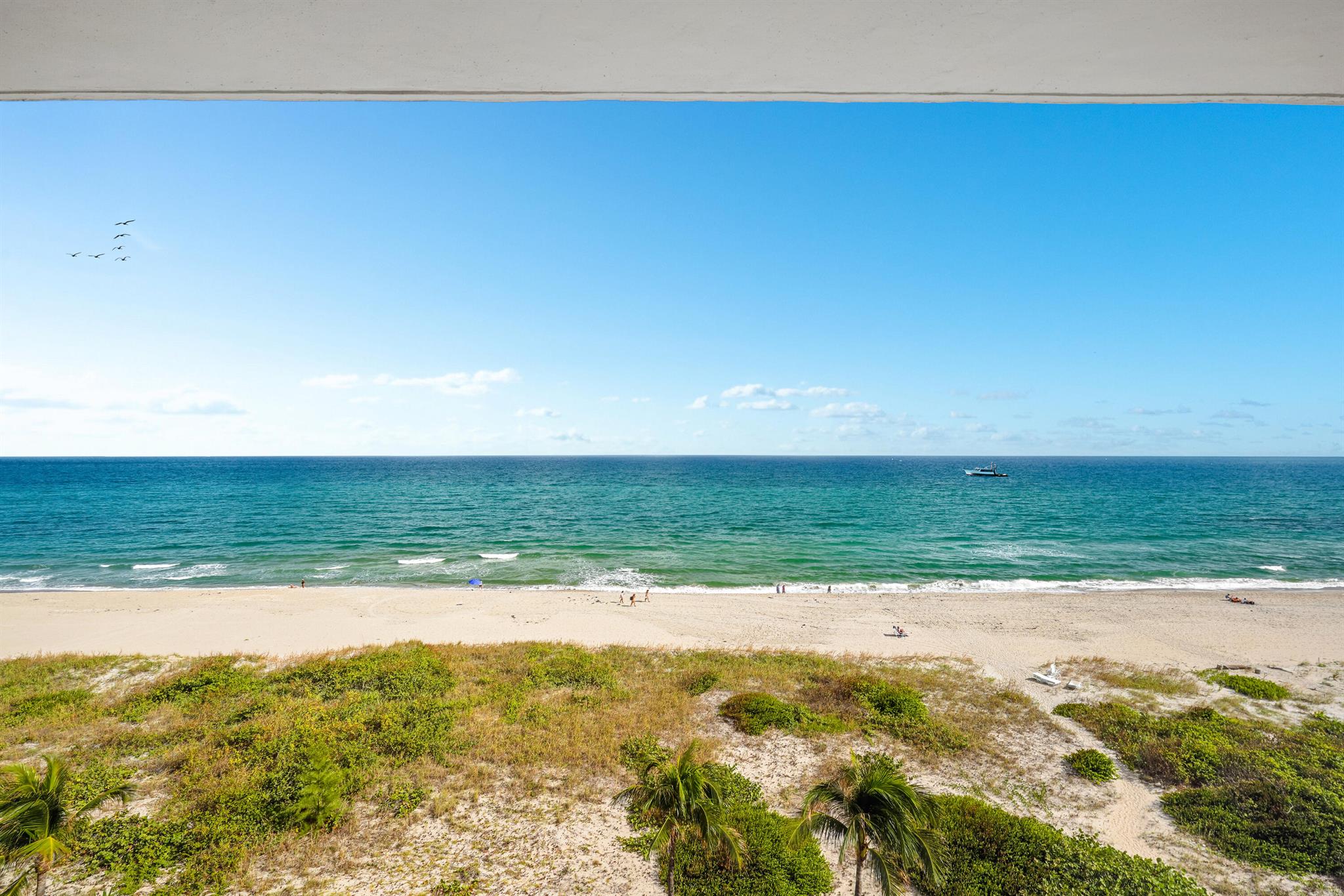 PLACIDE - Residential