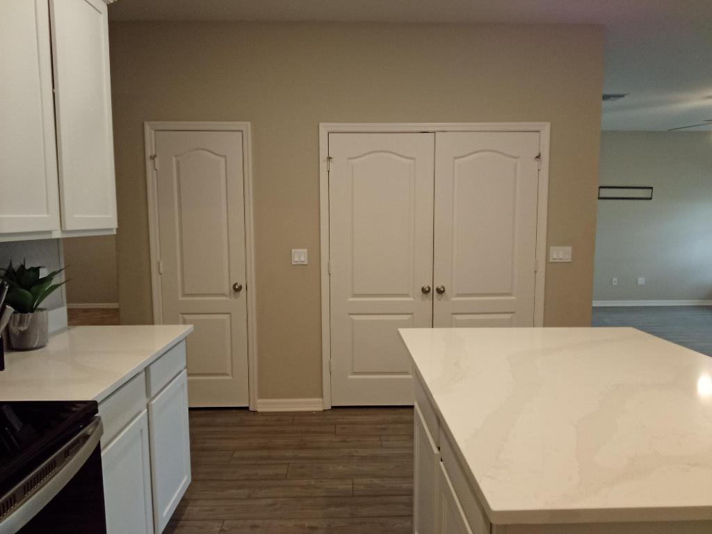 CELEBRATION POINTE - Residential