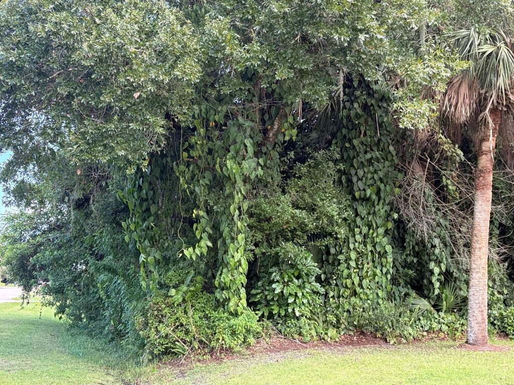 LAKEWOOD PARK-UNIT 7- BLK 75 W 1/2 OF LOT 23 AND A - Land