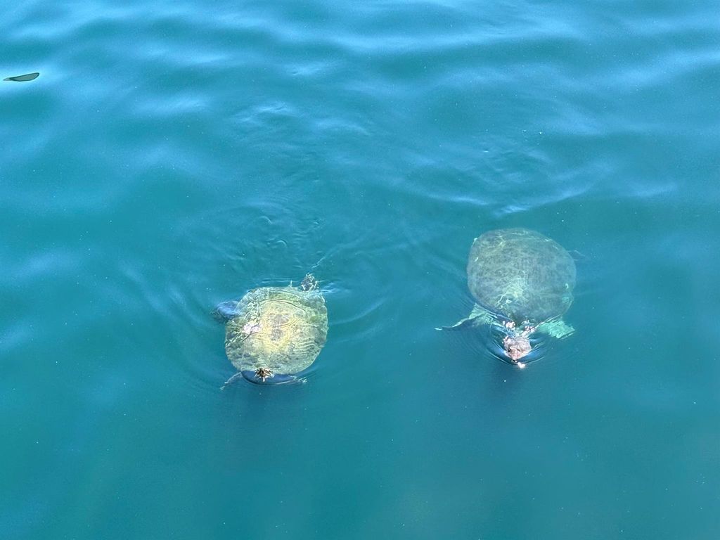 Photo of 1006 Landings Boulevard, Greenacres, FL 33413 (MLS # R11110885)