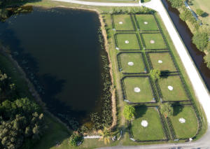 Palm Beach Point East Are - Residential