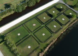 Palm Beach Point East Are - Residential