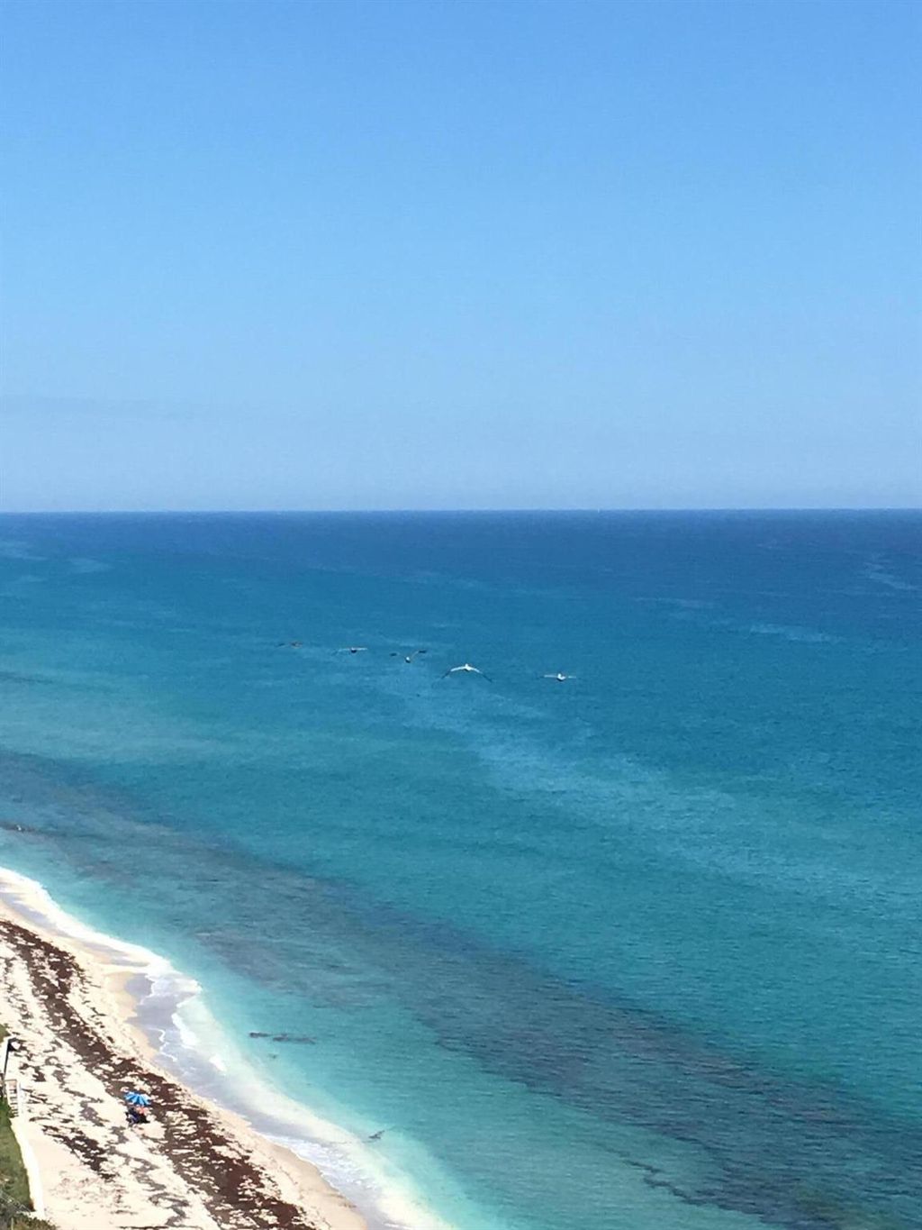 Photo of 5380 N Ocean Drive #19e, Singer Island, FL 33404 (MLS # R10942025)