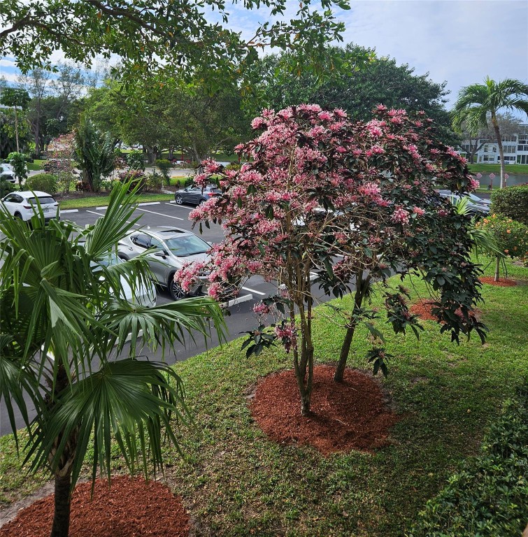 CENTURY VILLAGE - Residential