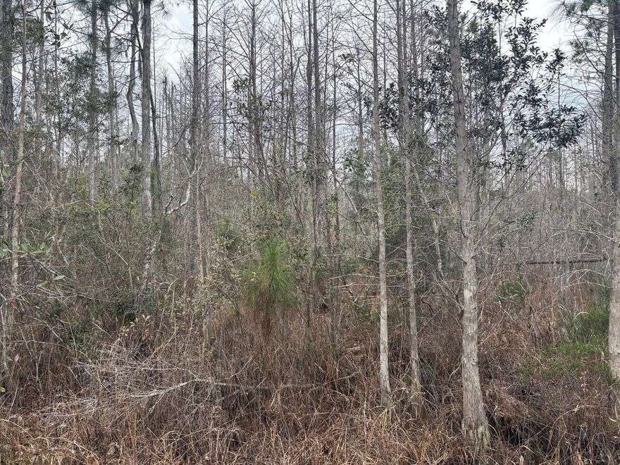 CAMP HUNT RIDE off Old Grade Road in Polk City, FL. This private one acre lot is a blank canvas for your recriational and/or agricultural ventures. Take advantage of our owner financing with only $1,500 down and no closing costs. Superb huting