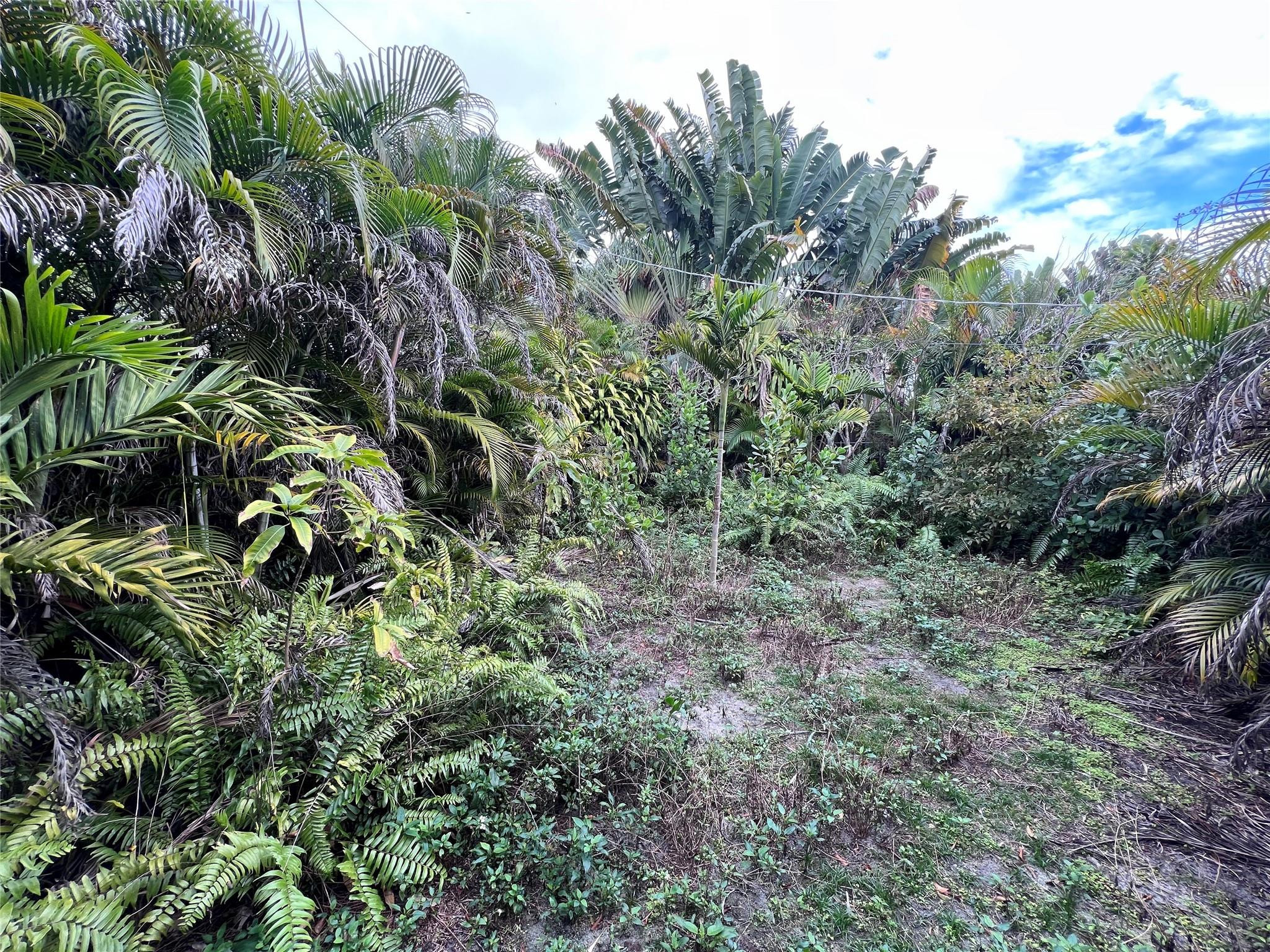 NORTH ANDREWS GARDENS FIR - Residential