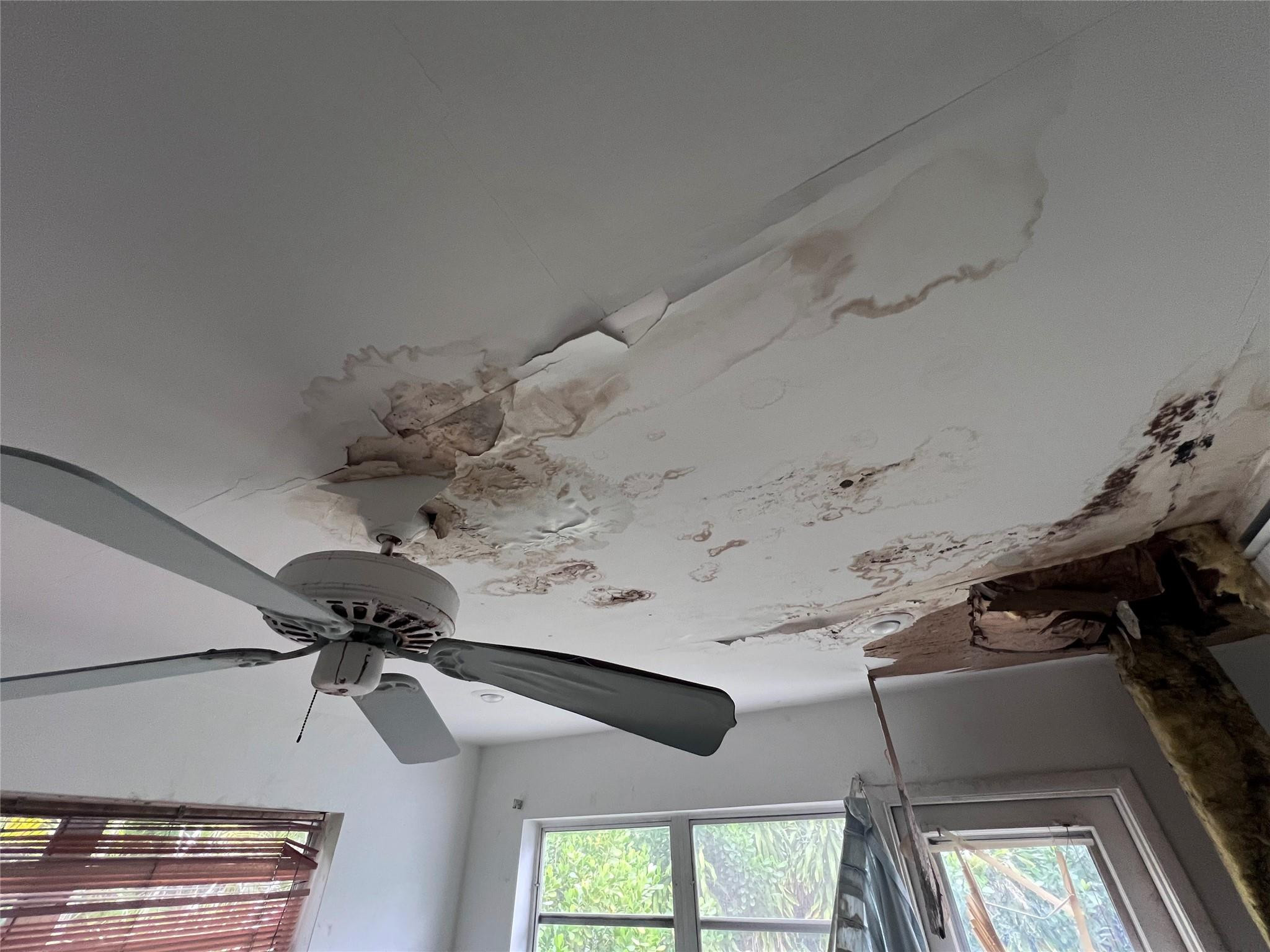 NORTH ANDREWS GARDENS FIR - Residential