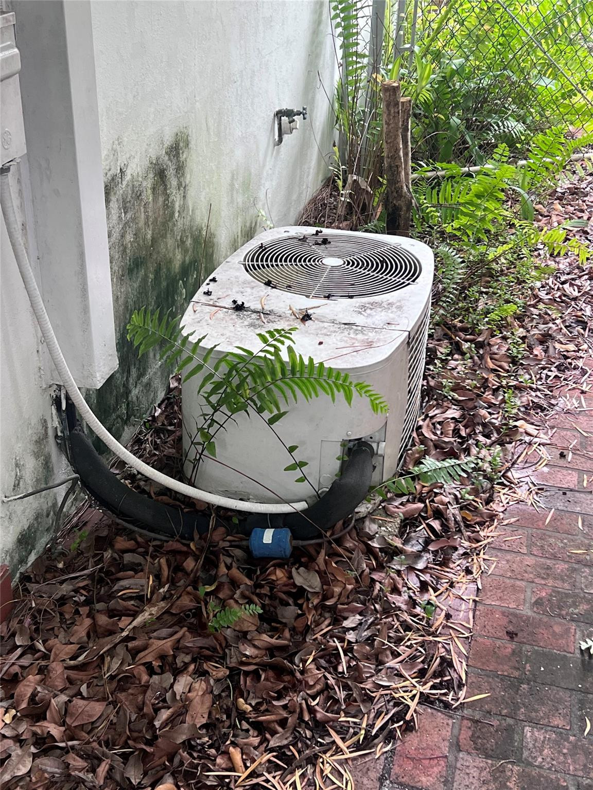 NORTH ANDREWS GARDENS FIR - Residential