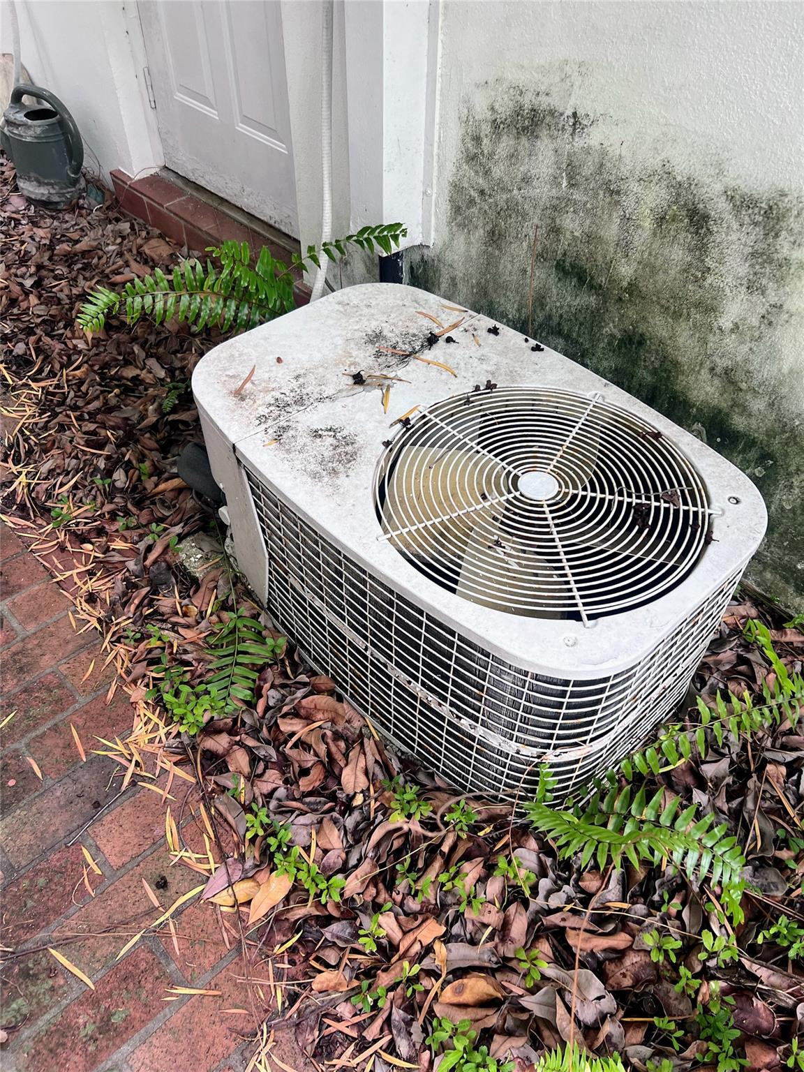 NORTH ANDREWS GARDENS FIR - Residential