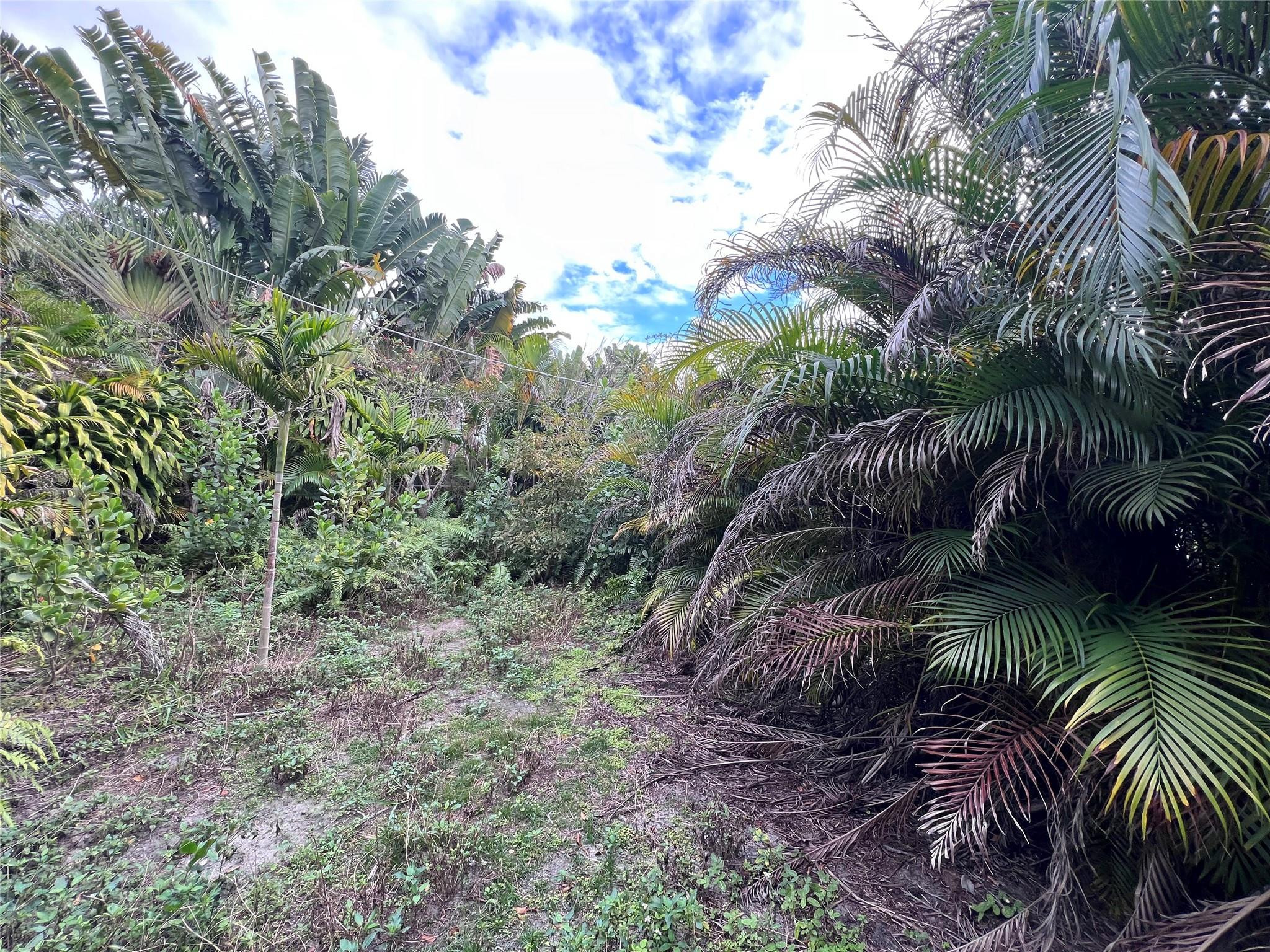 NORTH ANDREWS GARDENS FIR - Residential