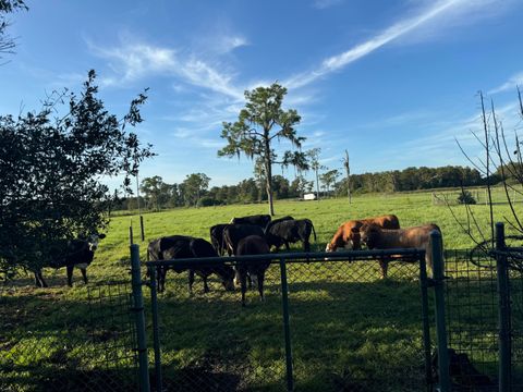 A home in Clewiston