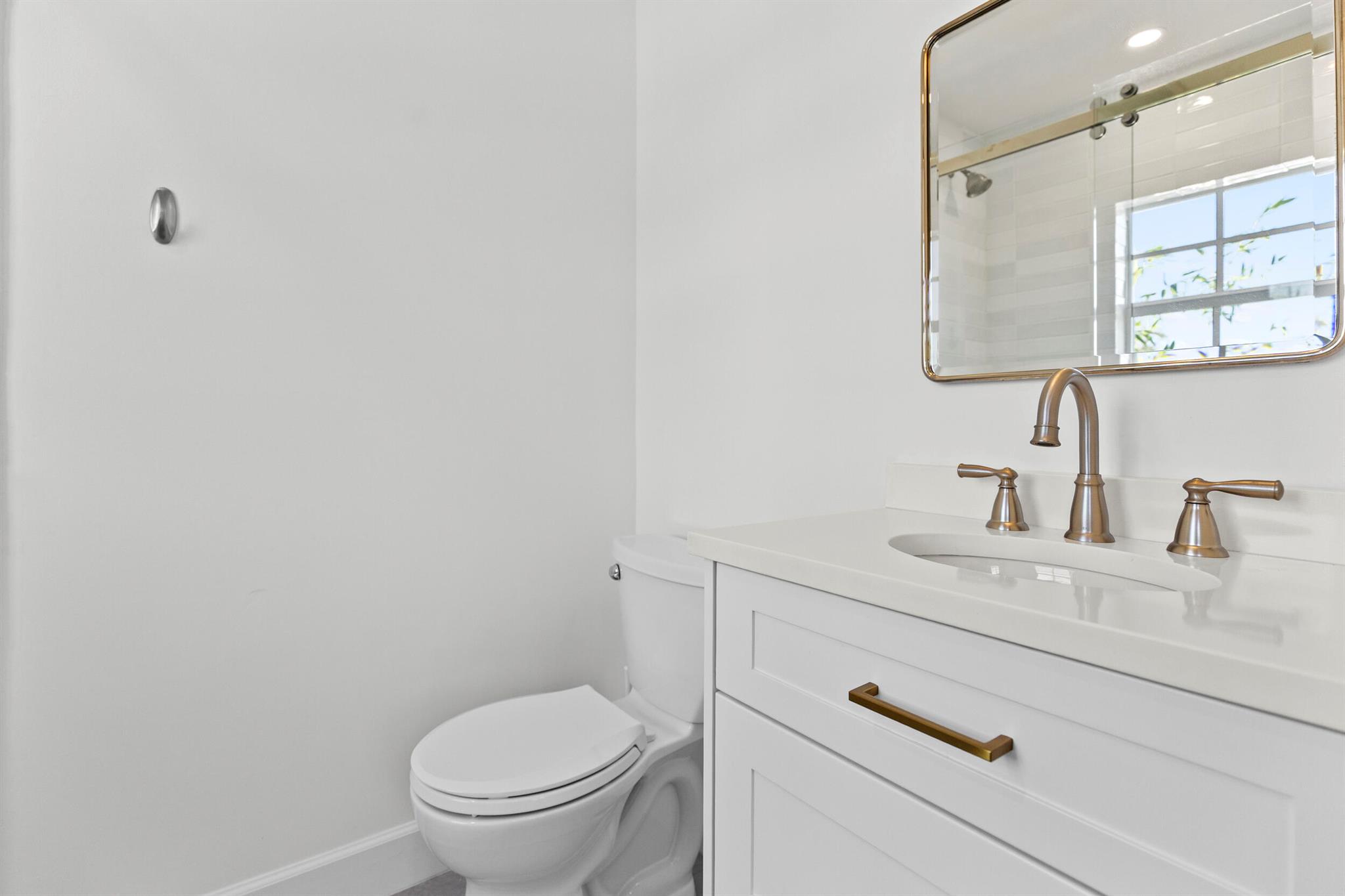 Lake Ida - Residential