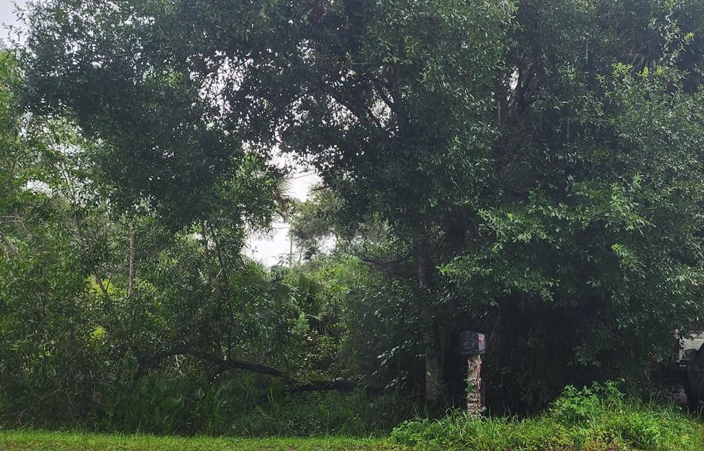 Photo of 17628 Brian Way, Jupiter, FL 33478 (MLS # R10905497)