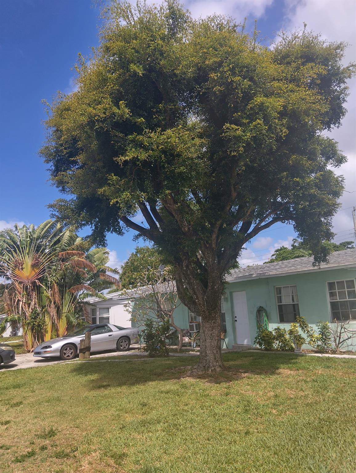 Great location Single family home in the Chresthaven neighborhood. Tile floors, Roof less then 6 years old. Newer ac units. Cash sale only.