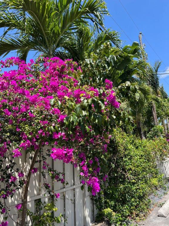 Boca Raton Square Gateway - Residential Lease