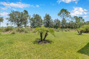 Arbor Mill (Phase 1-2) - Residential Lease