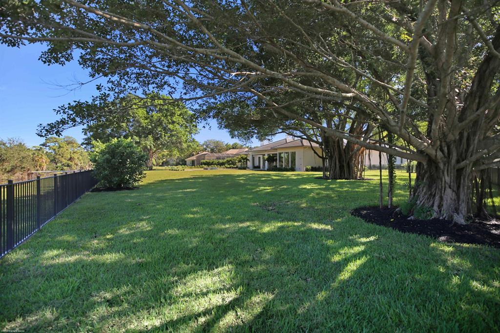 Steeplechase - Residential