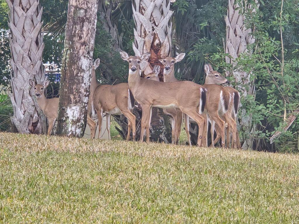 ISLAND ESTATES SUBD - Residential